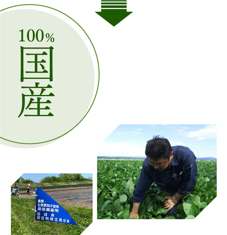 100%国産